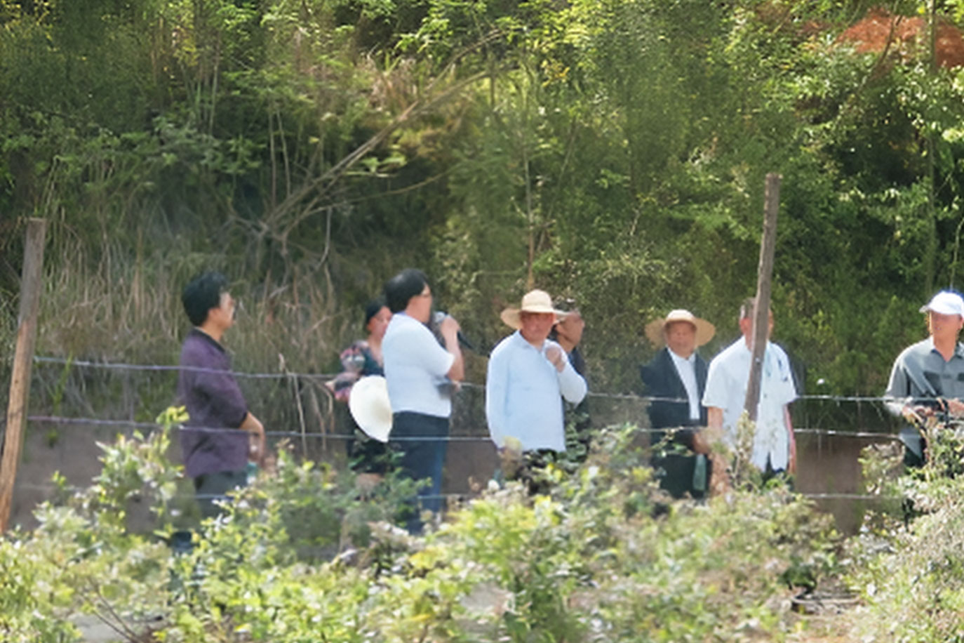 企业环境