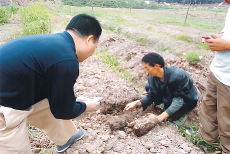企业环境