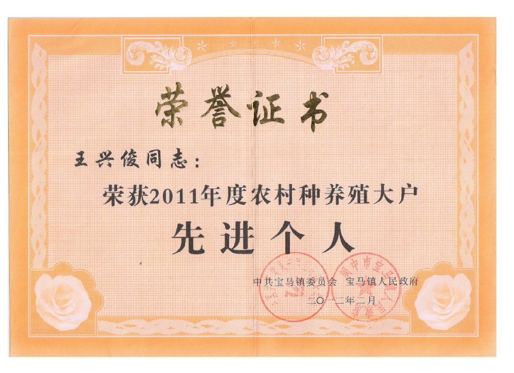 先进个人